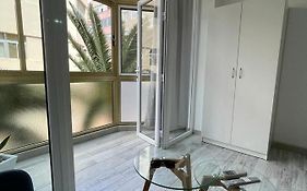 Palmeras 102